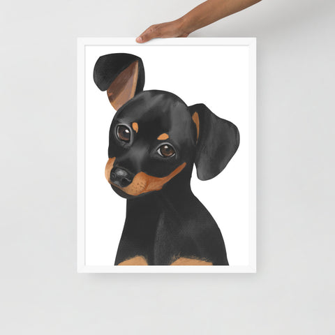 Dachshund Framed poster