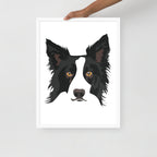 Border Collie Framed Poster