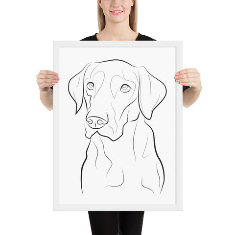 Labrador Retriever Framed Poster