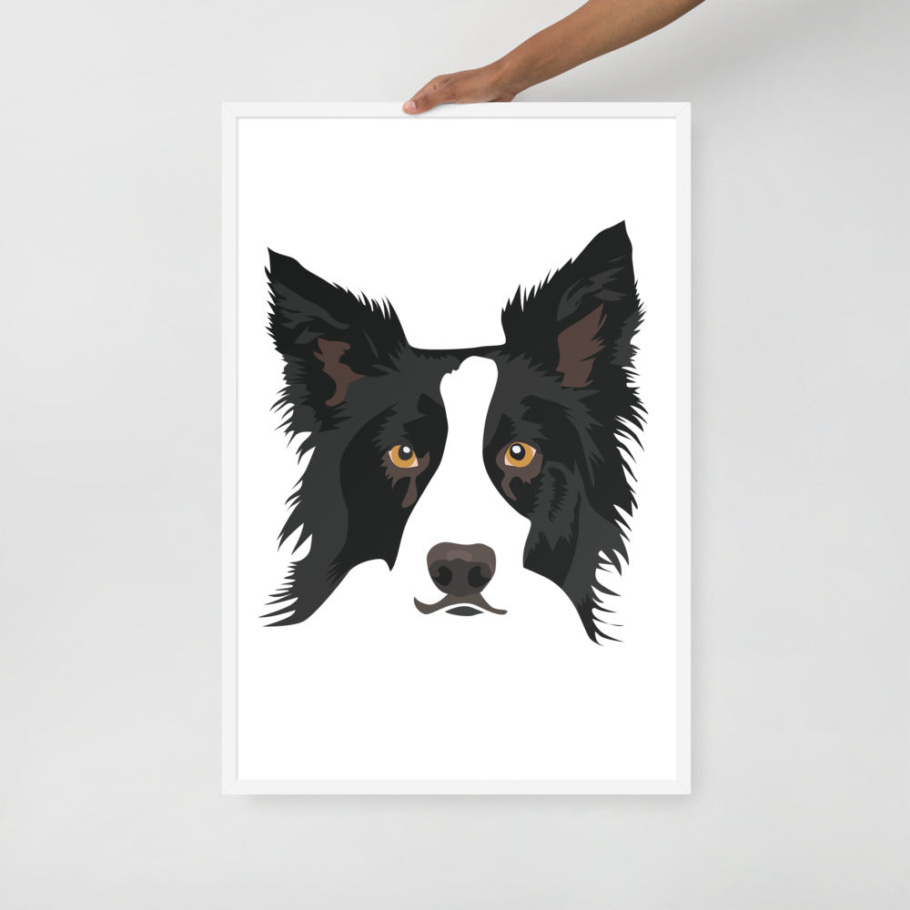 Border Collie Framed Poster