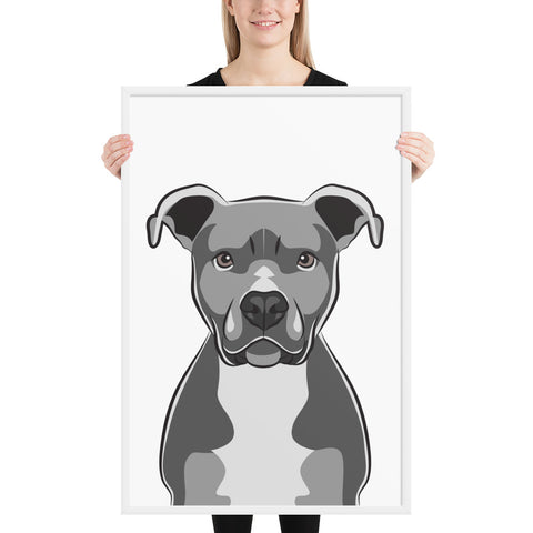 Pitbull Framed Poster