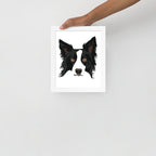 Border Collie Framed Poster