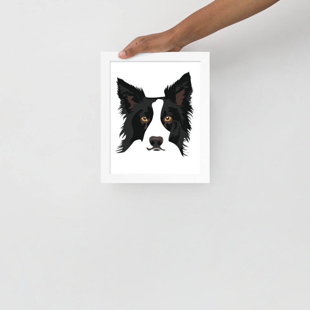 Border Collie Framed Poster